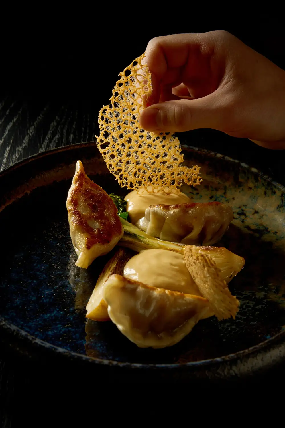 Asiatische Dumplings mit goldbraunem Tuille-Knusperblatt und Frühlingsgemüse